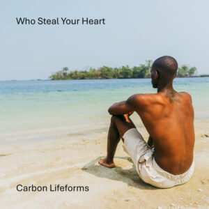 Who Steal Your Heart